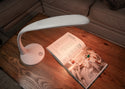 RGB Smart Lamp